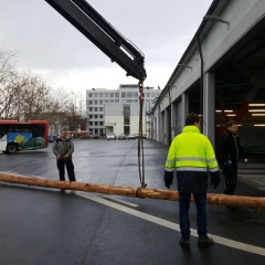 Narrenbaum Stellen auf dem Gottmannplatz: Der Baum wurde aus der Stadtwerke geholt.