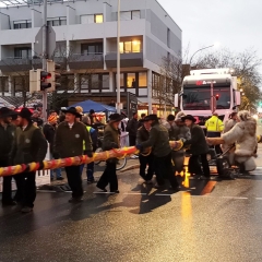 Narrenbaum Stellen auf dem Gottmannplatz: Der Baum rollte auf den Gottmannplatz.