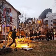 Narrenbaum Stellen auf dem Gottmannplatz: Er wurde traditionell von den Allensbacher Holzern gestellt.