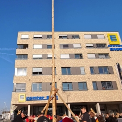 Schmutziger Donnerstag: Die Schneckenburg stellte einen kleinen Narrenbaum.