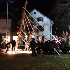 Narrenbaum stellen: Die Holzer aus Allensbach stellten den Baum.