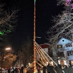 Narrenbaum stellen: Der Baum stand.