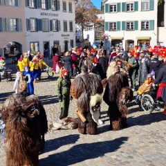 Umzug in Konstanz: Umzugsende auf dem Münsterplatz.