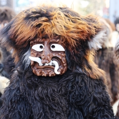 Umzug in Konstanz: Der Schneeschreck während dem Umzug.