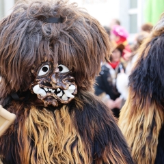 Umzug in Konstanz: Der Schneeschreck während dem Umzug.