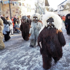 Hegau-Bodensee-Umzug in Gottmadingen: Der Schneeschreck während dem Umzug.