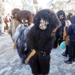 Hegau-Bodensee-Umzug in Gottmadingen: Der Schneeschreck während dem Umzug.