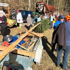 Narrenbaum holen in Hegne: Der Narrenbaum ging auf die Heimreise.