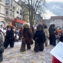 Umzug der Vereinigung Konstanzer Narrengesellschaften: Der Schneeschreck beim Umzug.