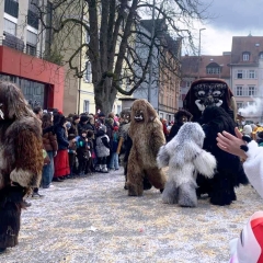 Umzug der Vereinigung Konstanzer Narrengesellschaften: Der Schneeschreck beim Umzug.